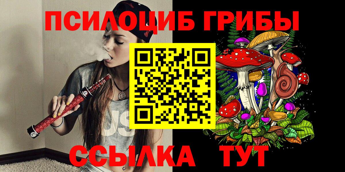 Псилоцибиновые грибы прущие грибы Сосновый Бор